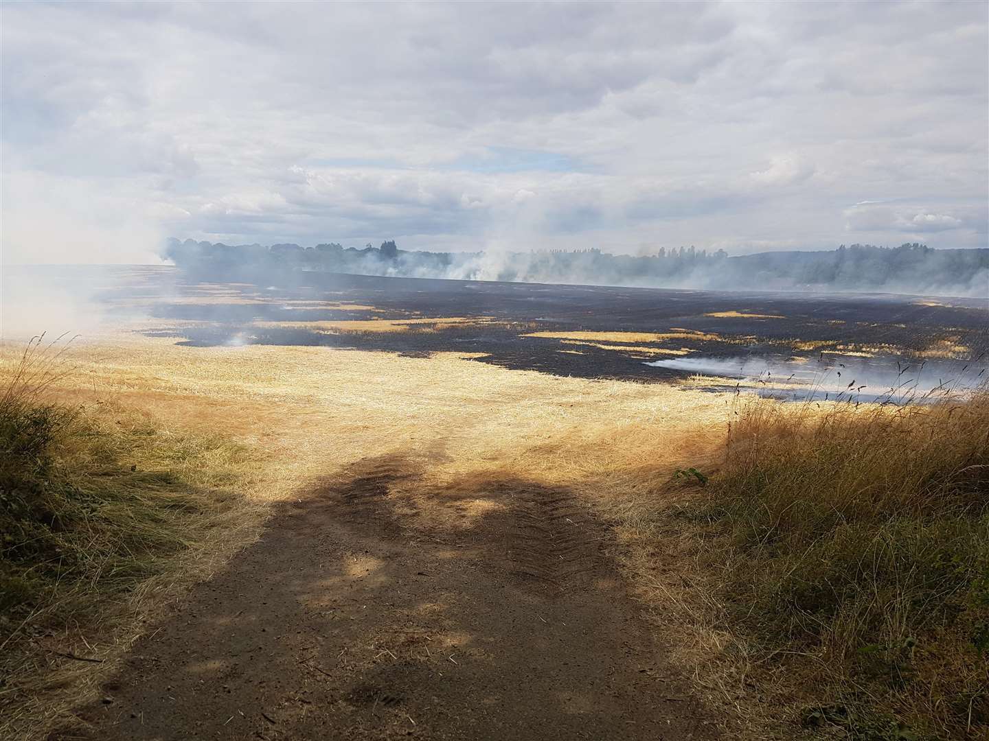 A 57-acre field was completely destroyed by an out-of-control bonfire in West Malling