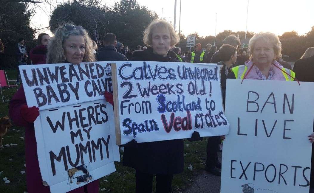 Campaigners at the port during a protest in November