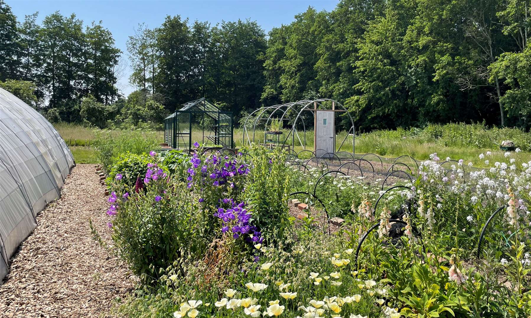 Work started on this community garden three years ago and it now boasts 70 volunteers. Picture: National Garden Scheme