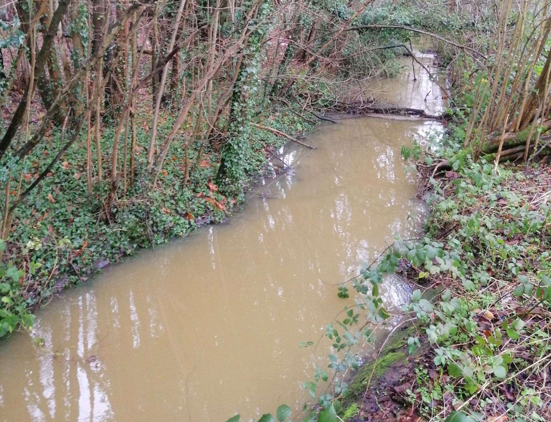 The stream downriver from the outflow