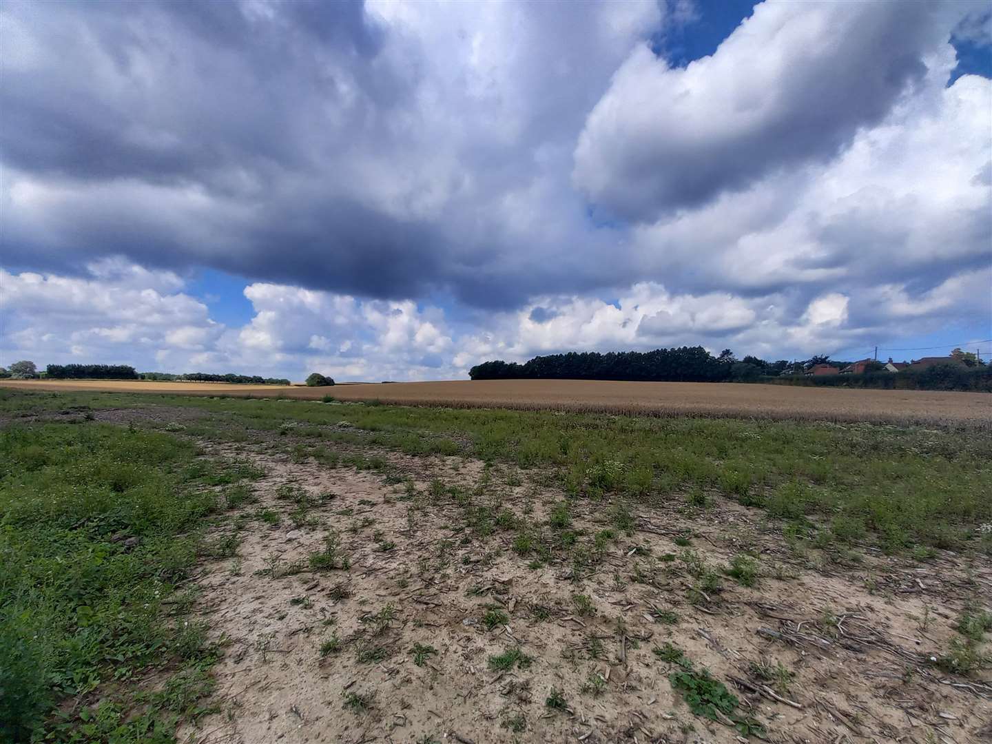 The field where Gladman wanted to build the homes