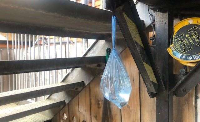 When the barman explained hanging a plastic bag full of water and a few glittering coins keeps wasps at bay I wasn’t sure if he was pulling my leg!