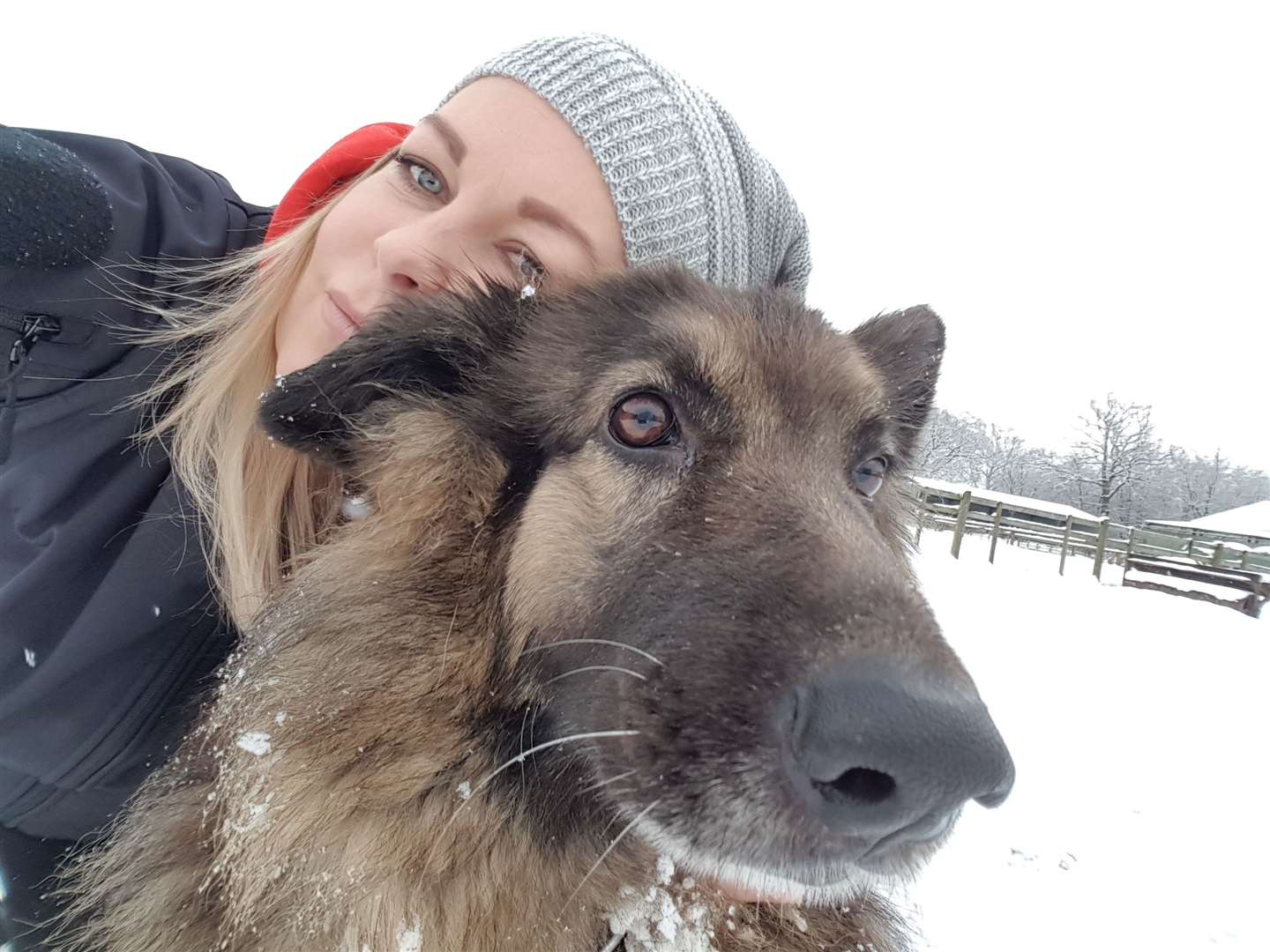 Eva training an Emotional Support Dog