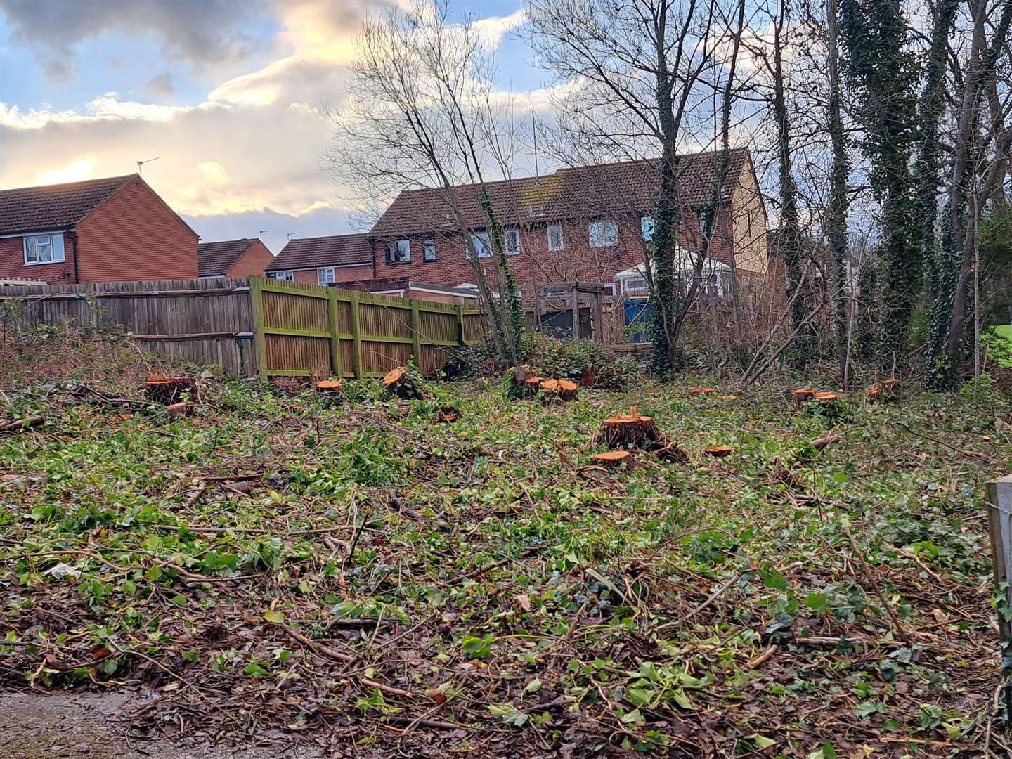 The stumps of trees felled at the foot of Wharf Road