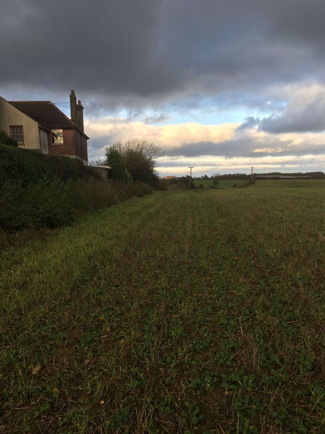 The new inland customs clearance site is very close to homes at Dover Road and St Martin's Road, Guston