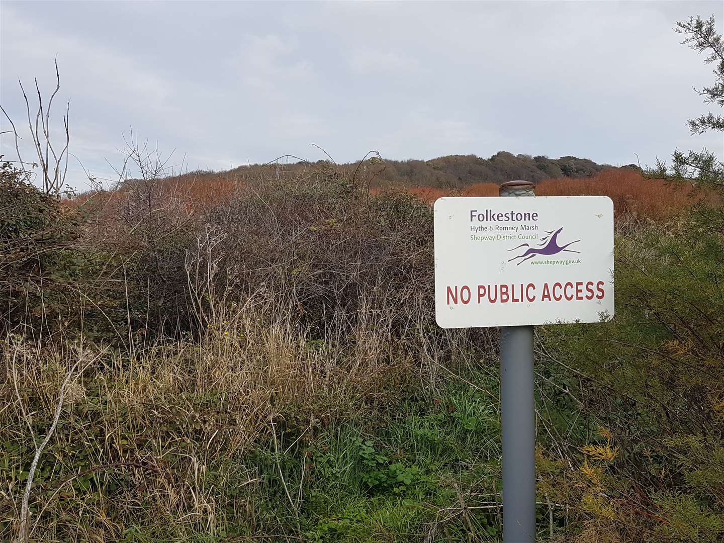 Protestors want to preserve the land along Princes Parade