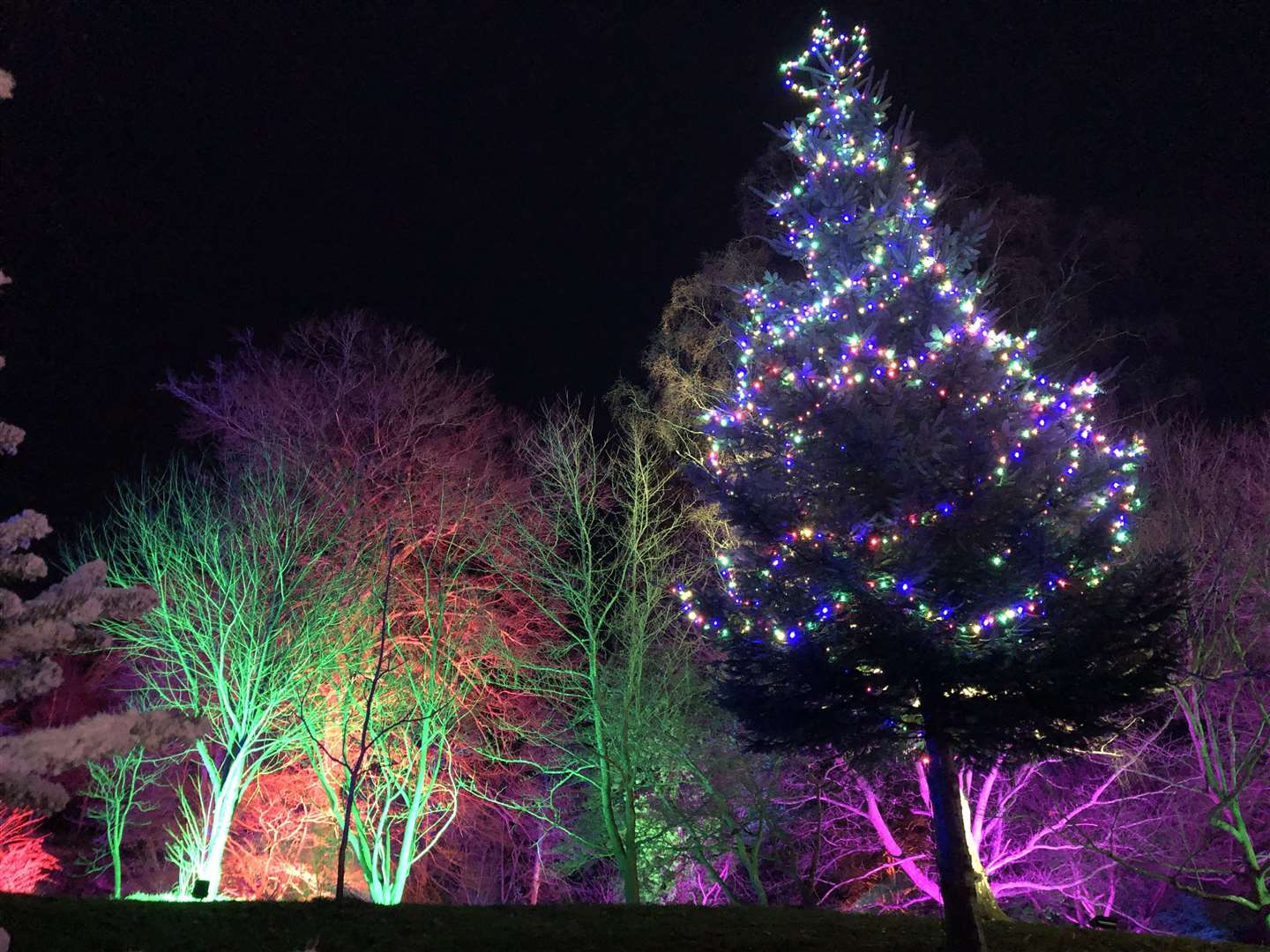 Hever Castle at Christmas