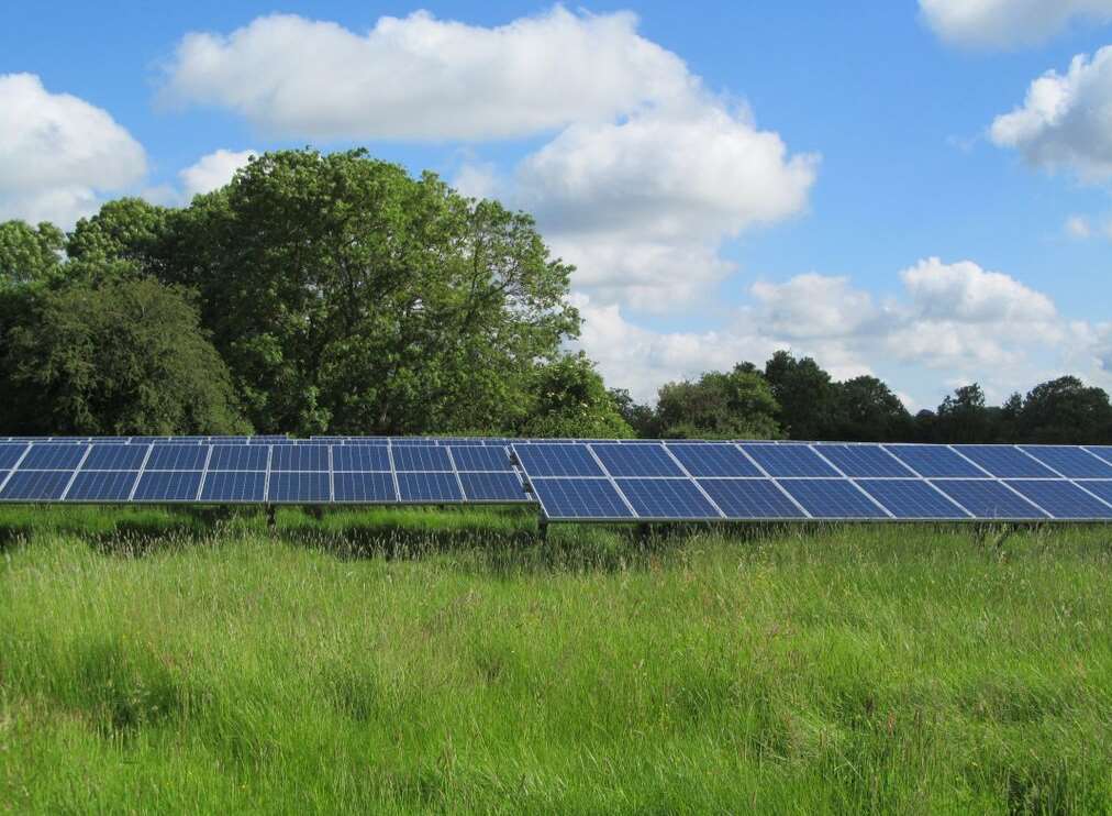 Solar farm panels