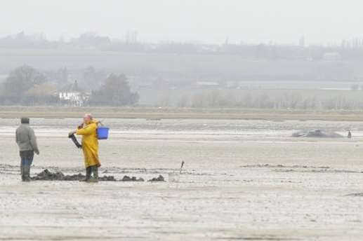 The spot in the Swale where the whale caught in the mud. Picture: Ruth Cuerden