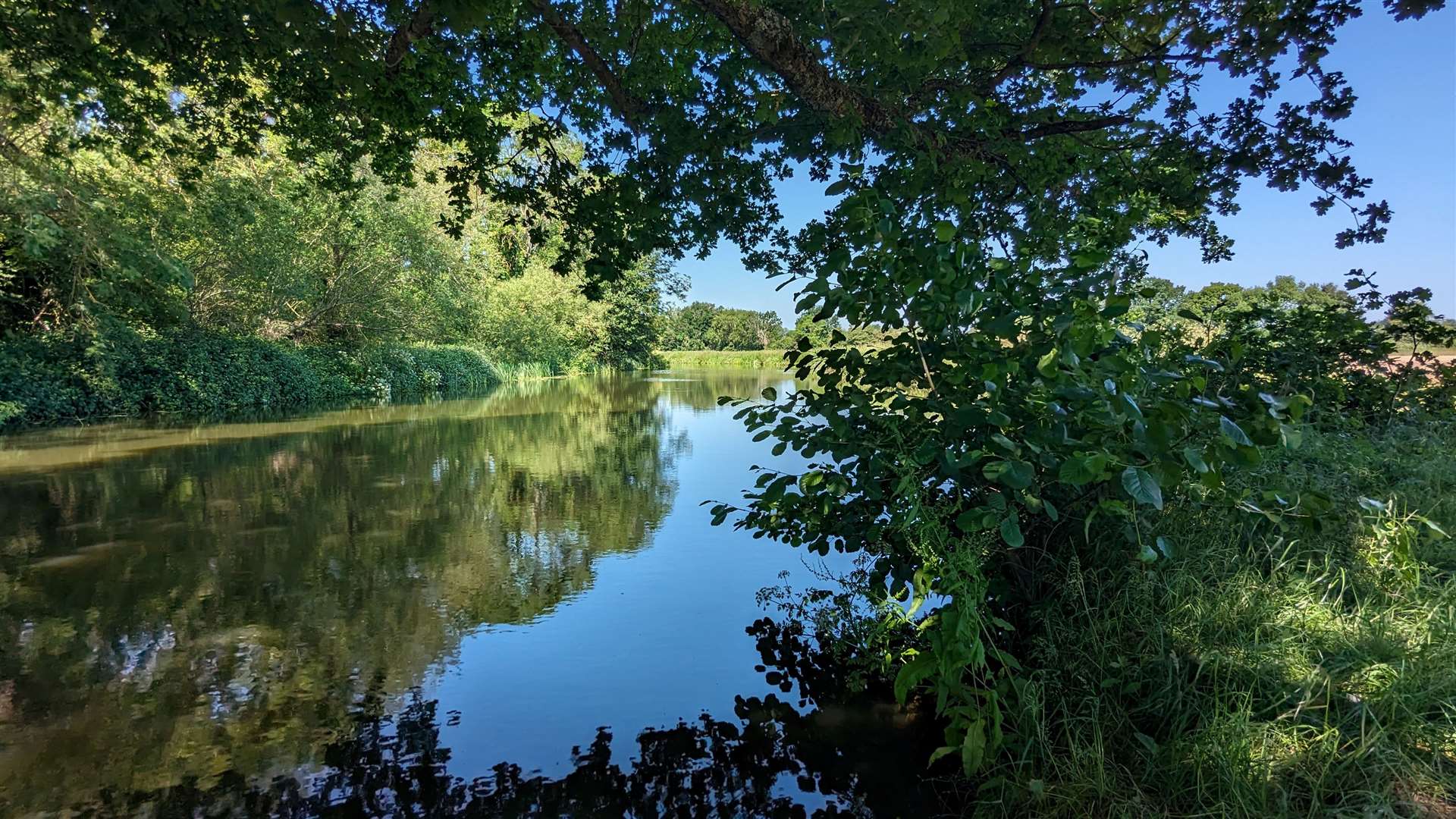 The River Medway on a glorious summer’s day