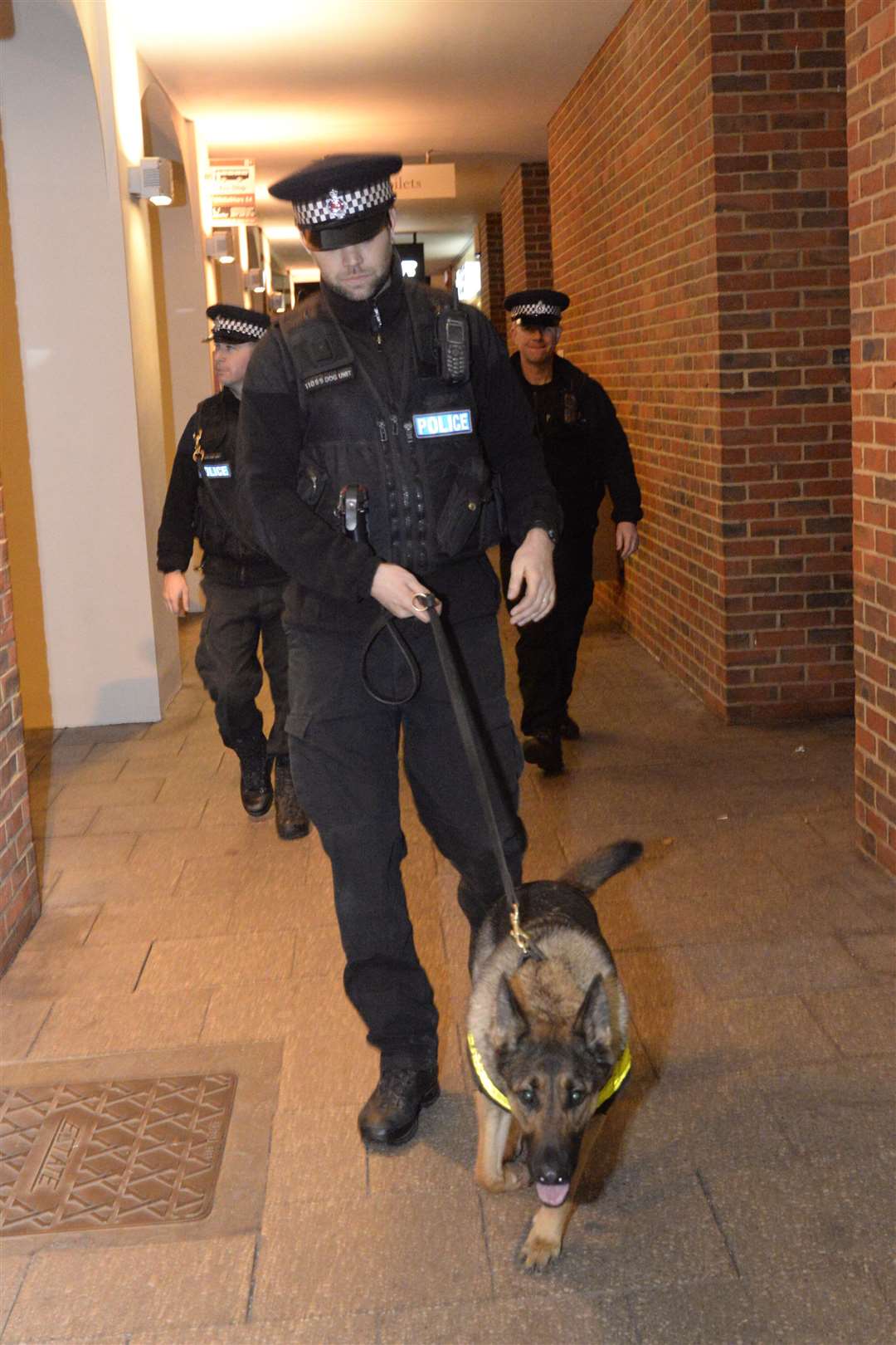 Piper patrols the city with PC Paul Bassett