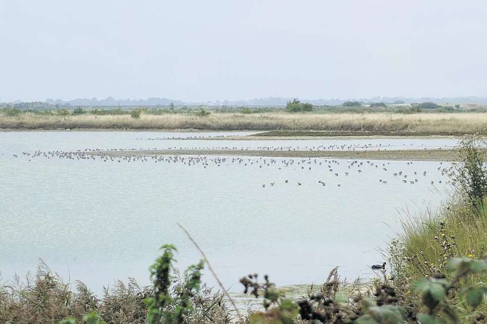 A body was found floating in shallow water at Cliffe Pools