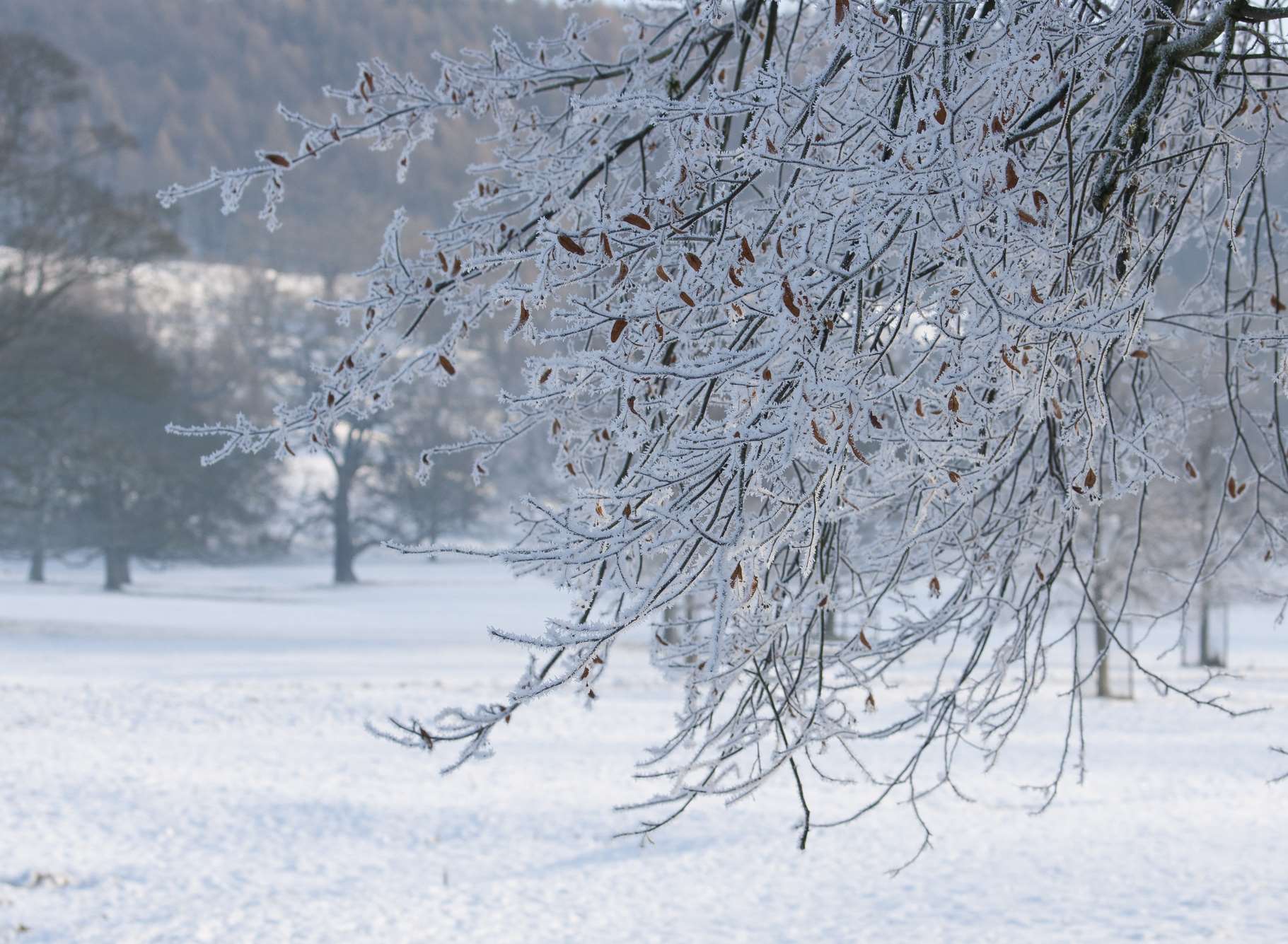 A severe cold weather alert is in place