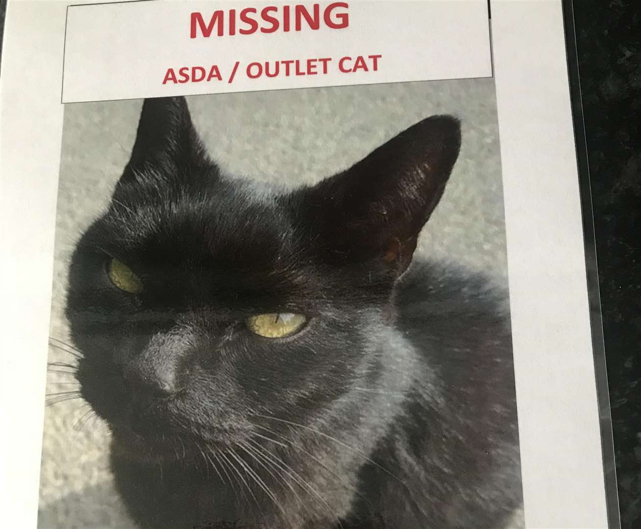 Sammy had been missing for a month before being found