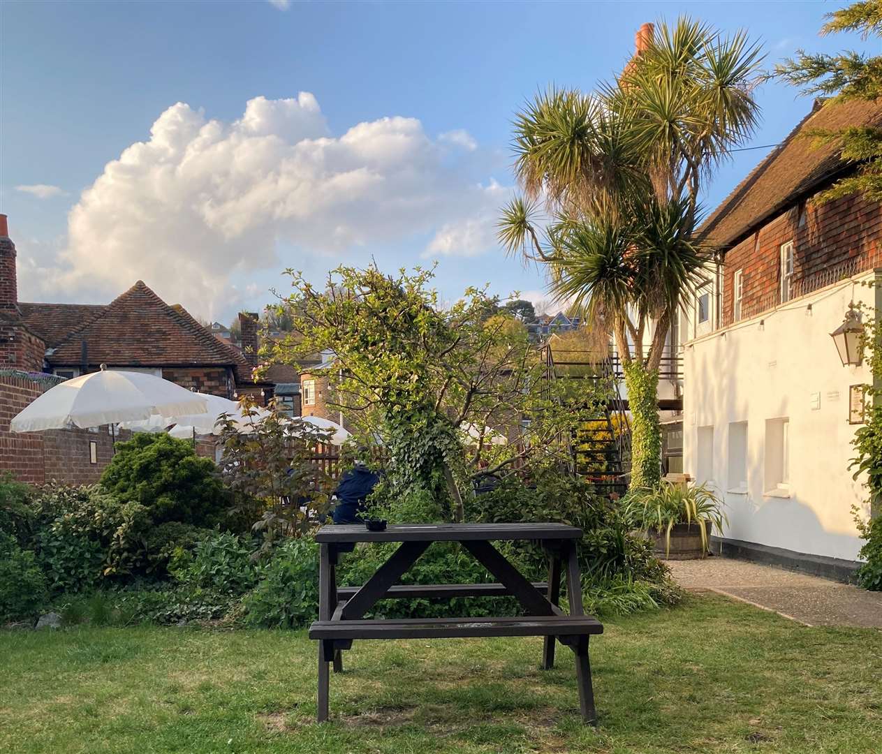 The side garden, behind the shrubbery, looked a little more sheltered and inviting, but sadly this area was also fully occupied