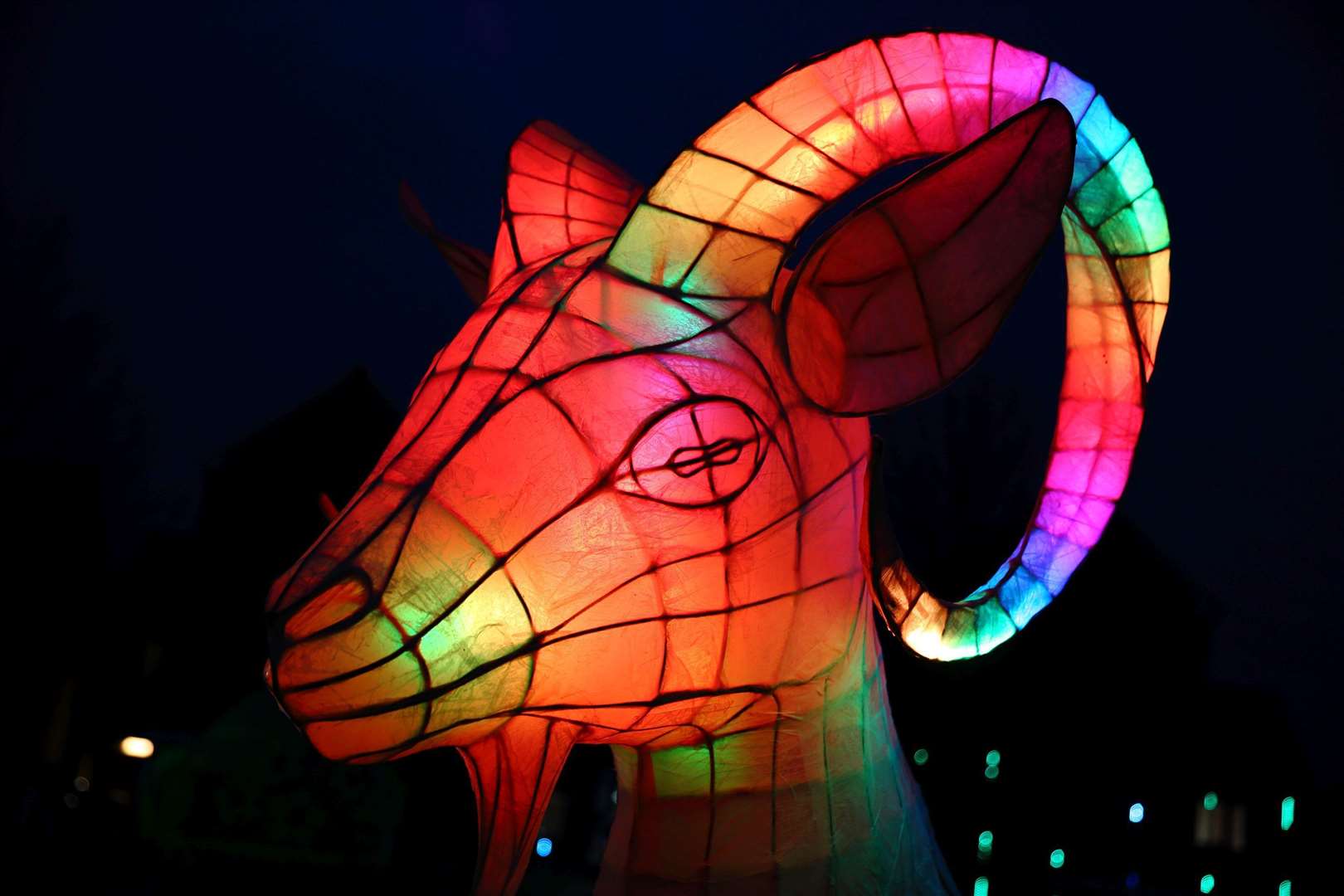 The Springhead Magical Garden light festival. Picture: Cohesion Plus