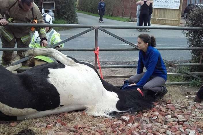 A rescue team cut Phoebe free