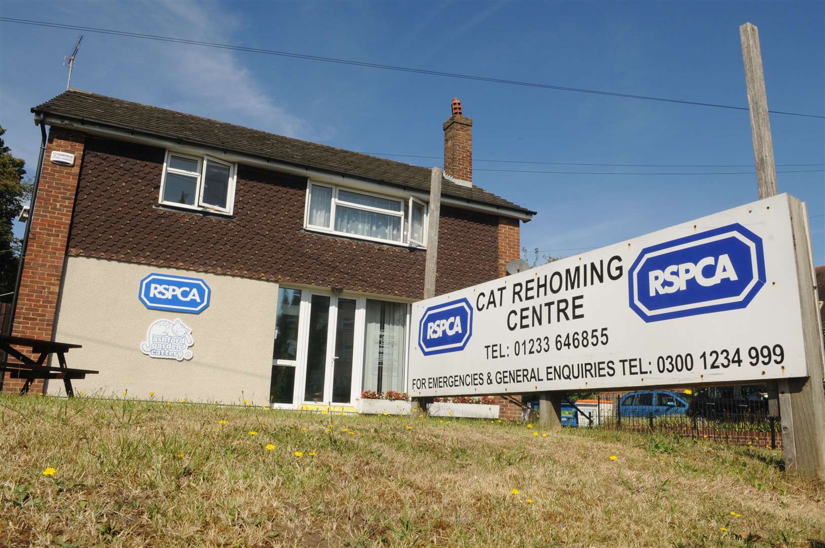 RSPCA Ashford Garden Cattery in Station Road has been raising money by writing ex's names on litter trays