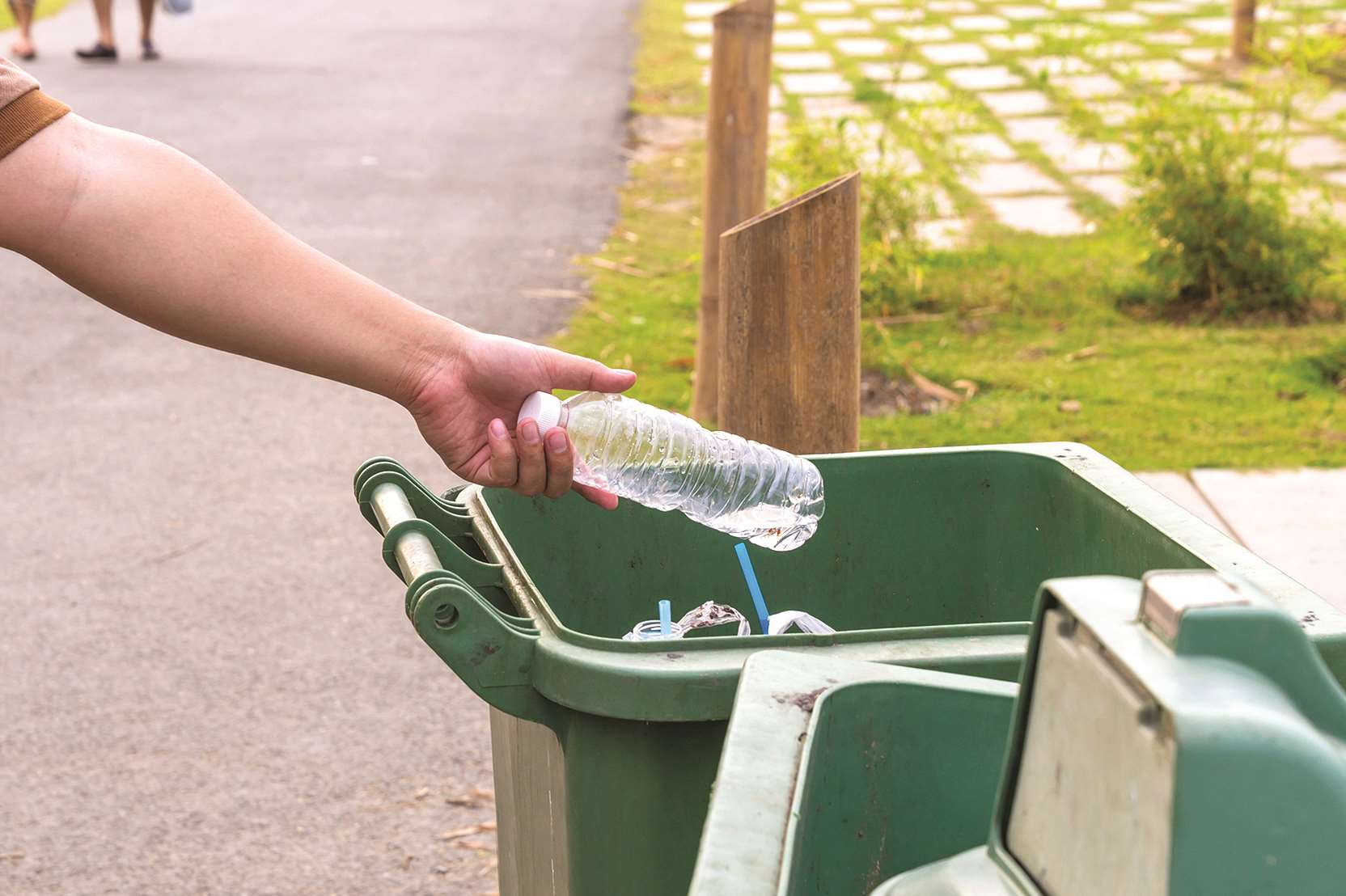 Your green recycling bin is collected fortnightly