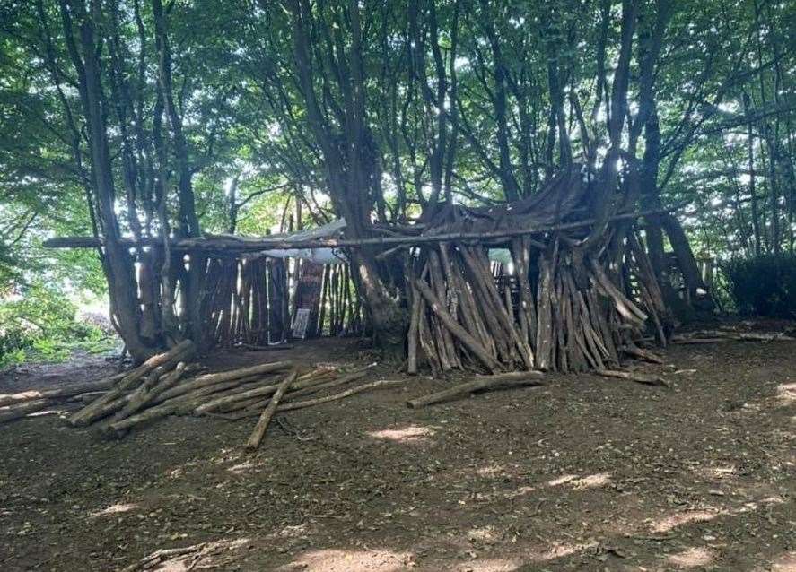 It was made using logs laid in the woodland for considerable time. Photo: Mel Banham