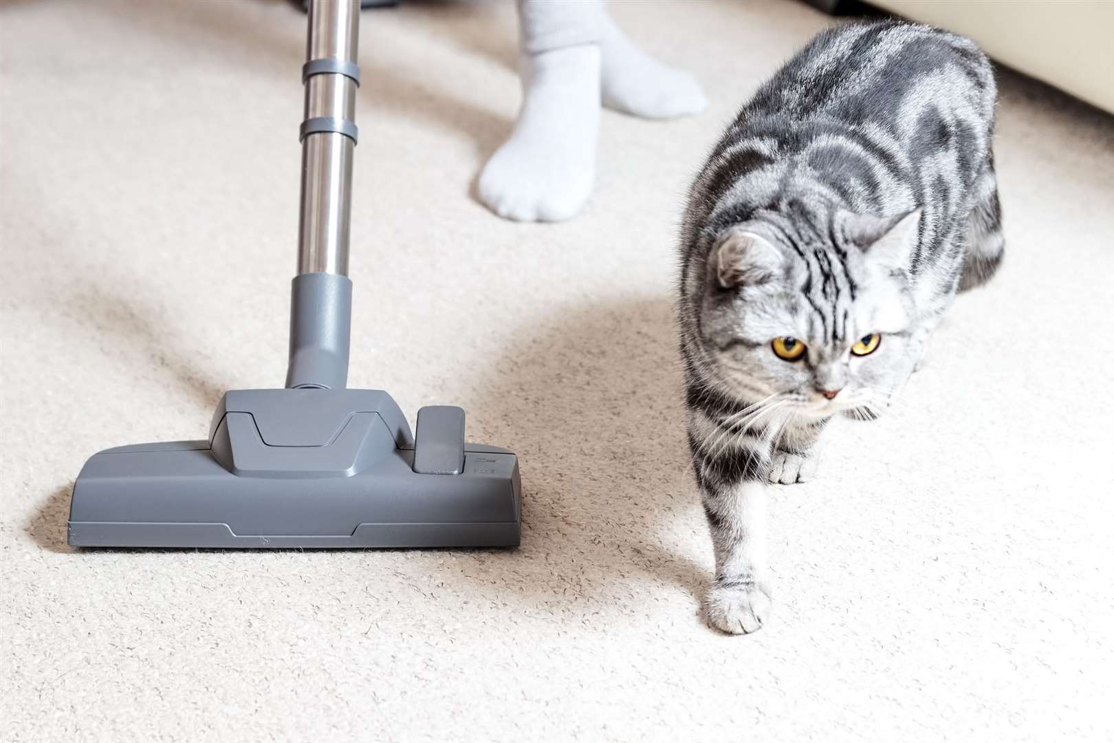 Our columnist refuses to believe some men can possibly be so bad at chores Stock picture