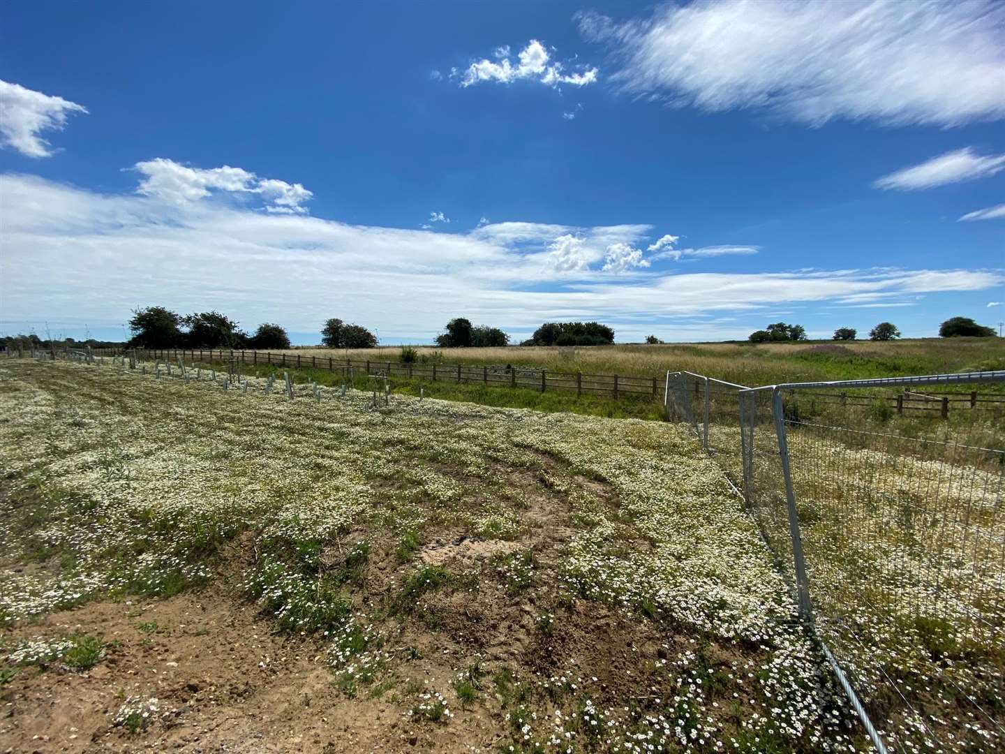 The site in Sevington goes across 27 acres. Picture: Barry Goodwin