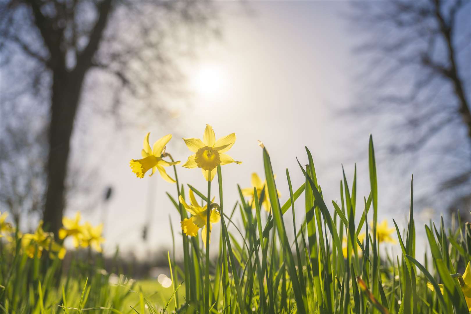 "When the sun’s out, even usually-miserable drivers magically become more courteous on the road..."