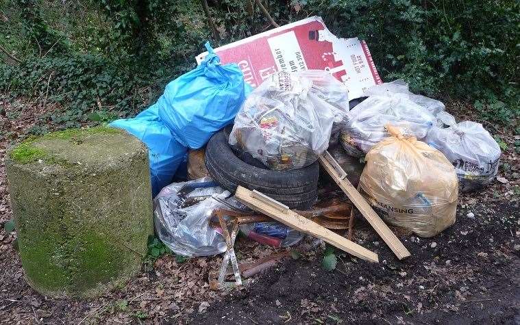 Some of the littler collected at Shorne Common