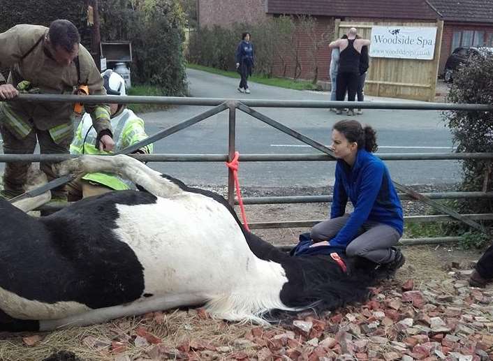 A rescue team cut Phoebe free