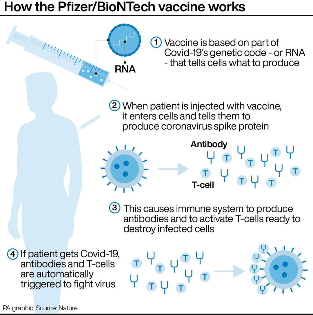 How the Pfizer/BioNTech vaccine works. Picture: PA Graphics