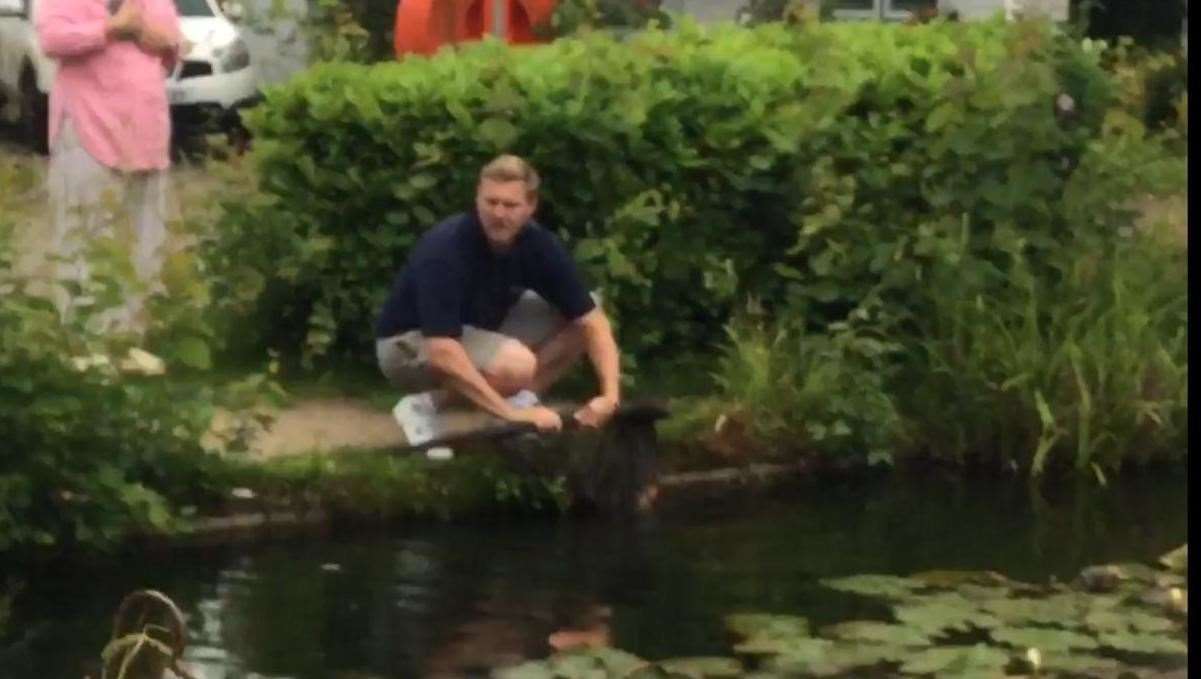 Brad Voak attempts to rescue some of the fish. Picture: Brad Voak