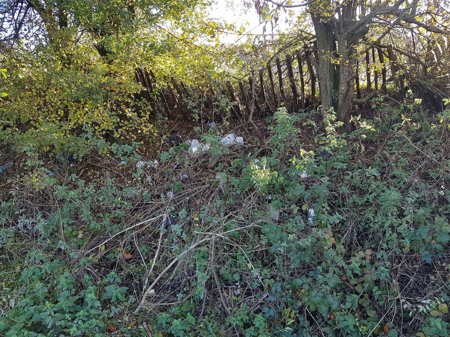 Lorry drivers have left bags of poo and bottles or urine by the roadside in Detling