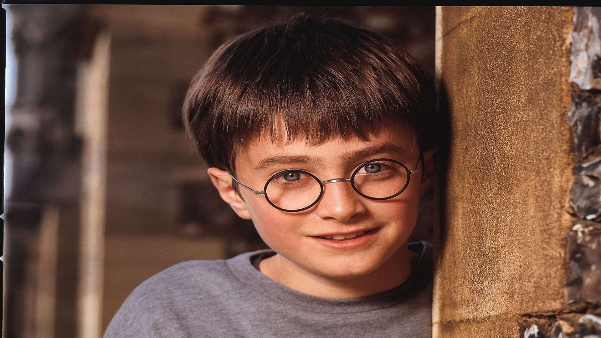 Daniel Radcliffe as a young Harry Potter Picture: Warner Brothers