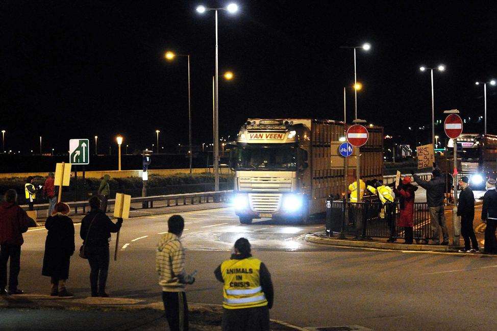 The latest animal rights demonstration at Dover docks