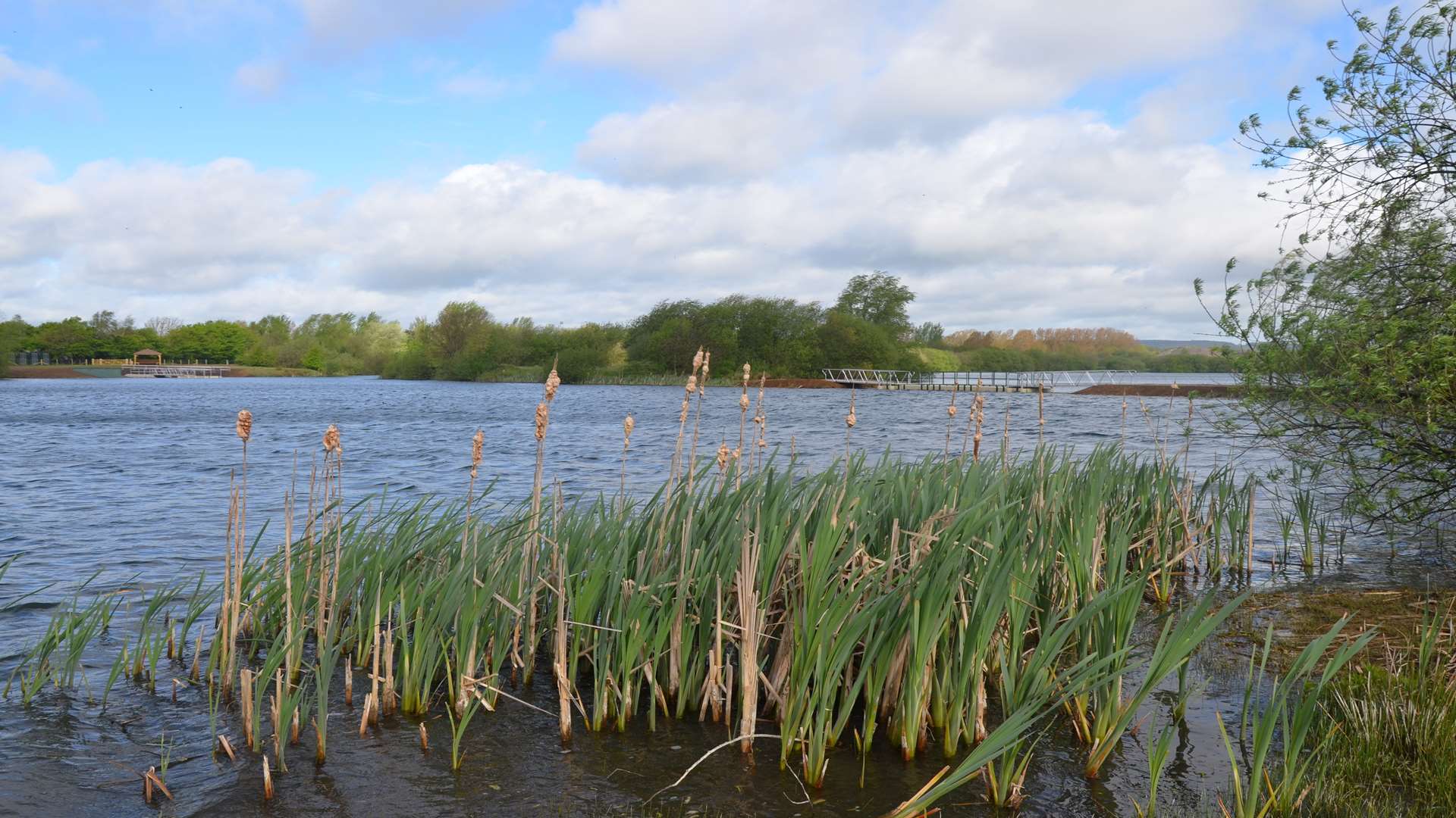 Conningbrook Lakes