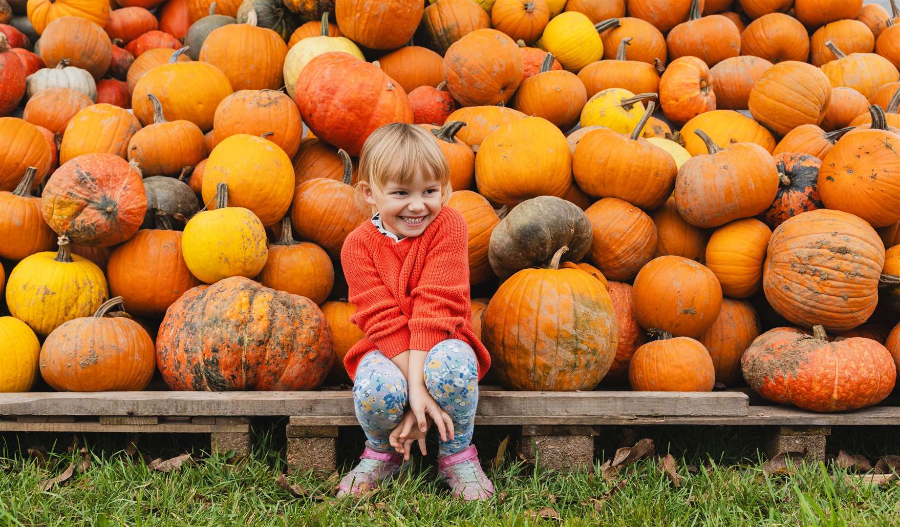 There’s plenty of Halloween fun in store for families in Kent this October half-term. Picture: iStock