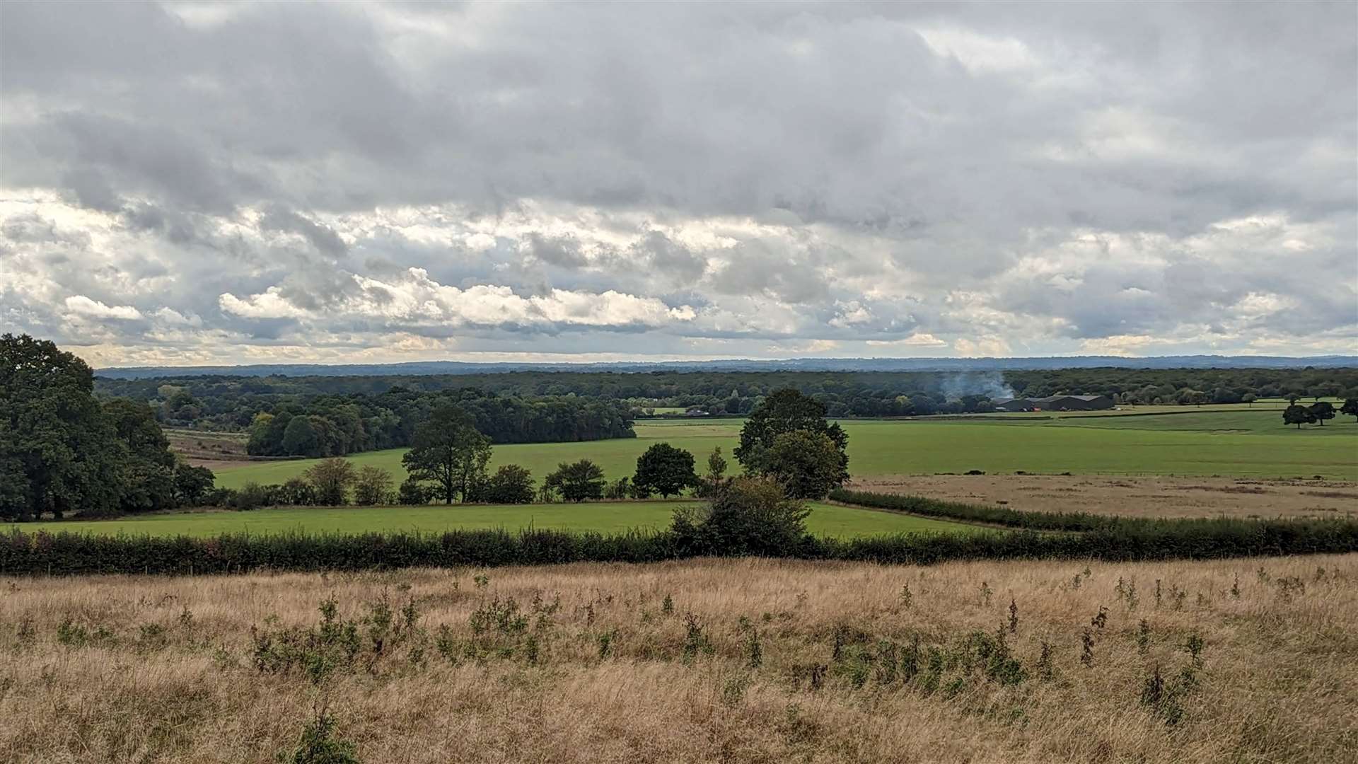 The view out towards Dering Wood