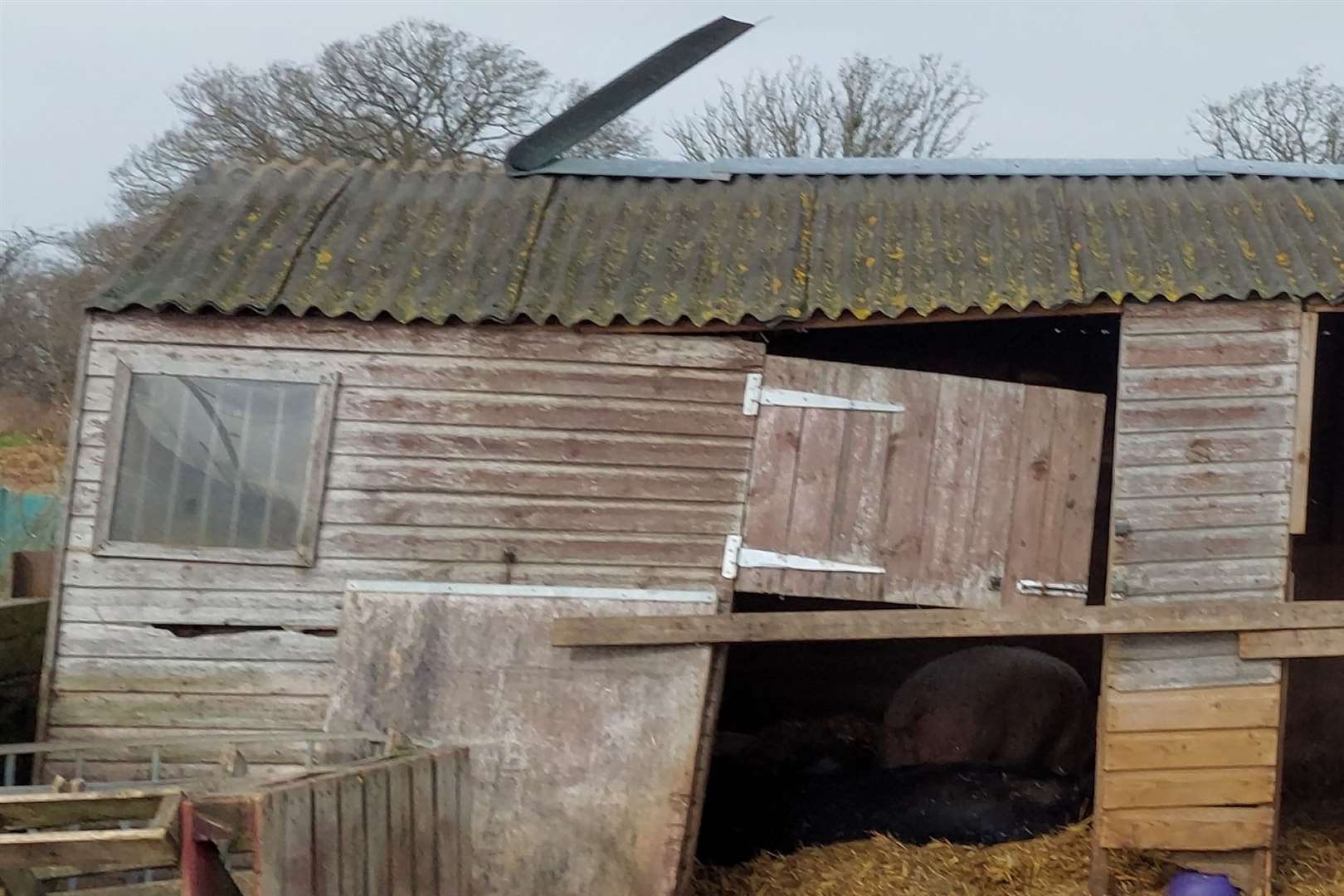 One of the many areas of the rescue centre to suffer damage