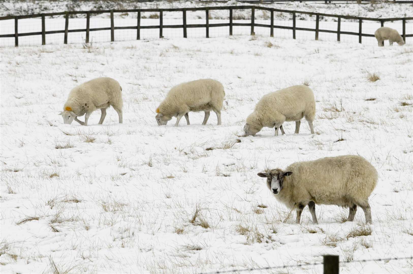 Farmers and rural businesses are being urged to prepare for wintry weeks ahead