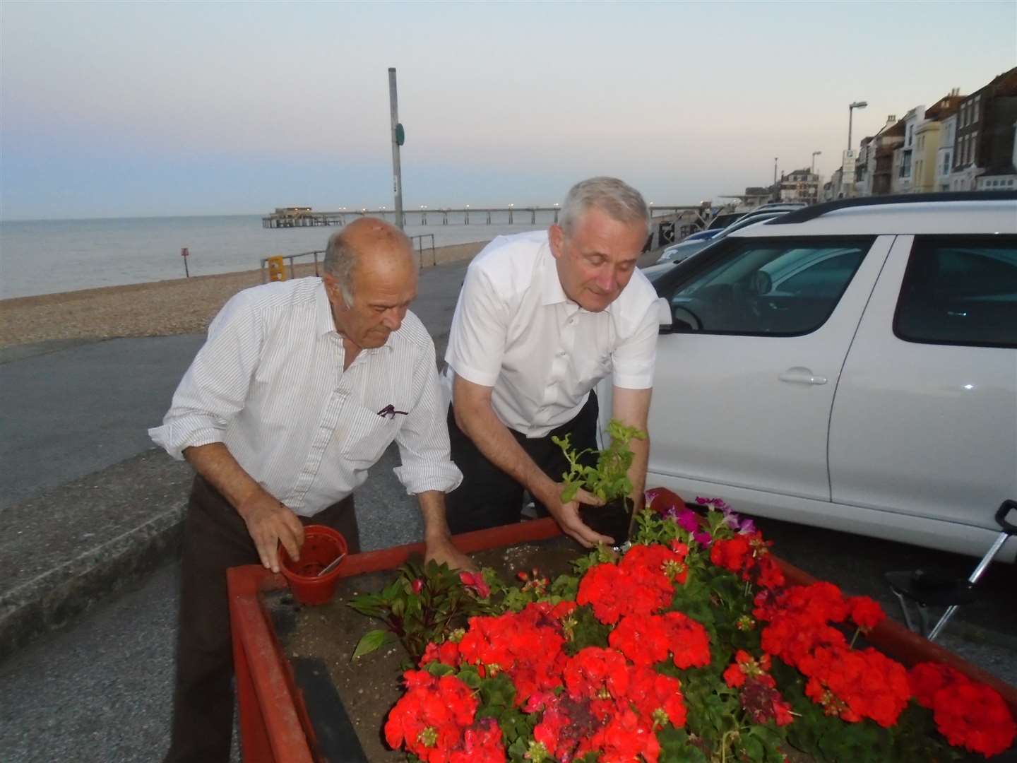 Flowers are re-planted