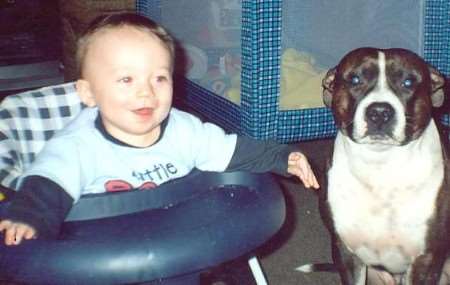 Kieran O'Callaghan is missing four-year-old Staffordshire cross Bruno