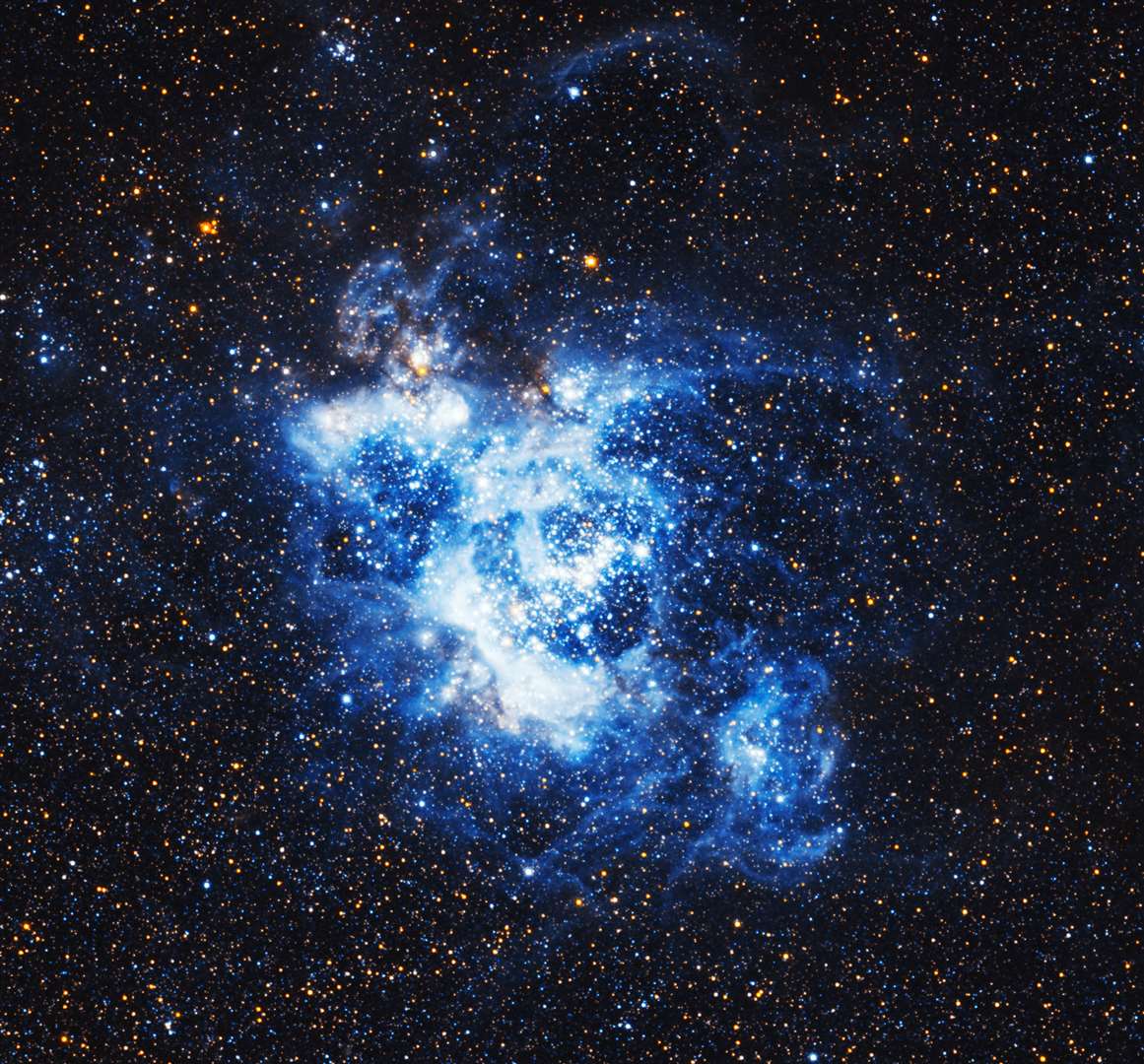 NGC 604, located within the Triangulum Galaxy. Some 1,500 light-years across, this is one of the largest, brightest concentrations of ionised hydrogen in our local group of galaxies, and it is a major centre of star formation (Nasa/PA)