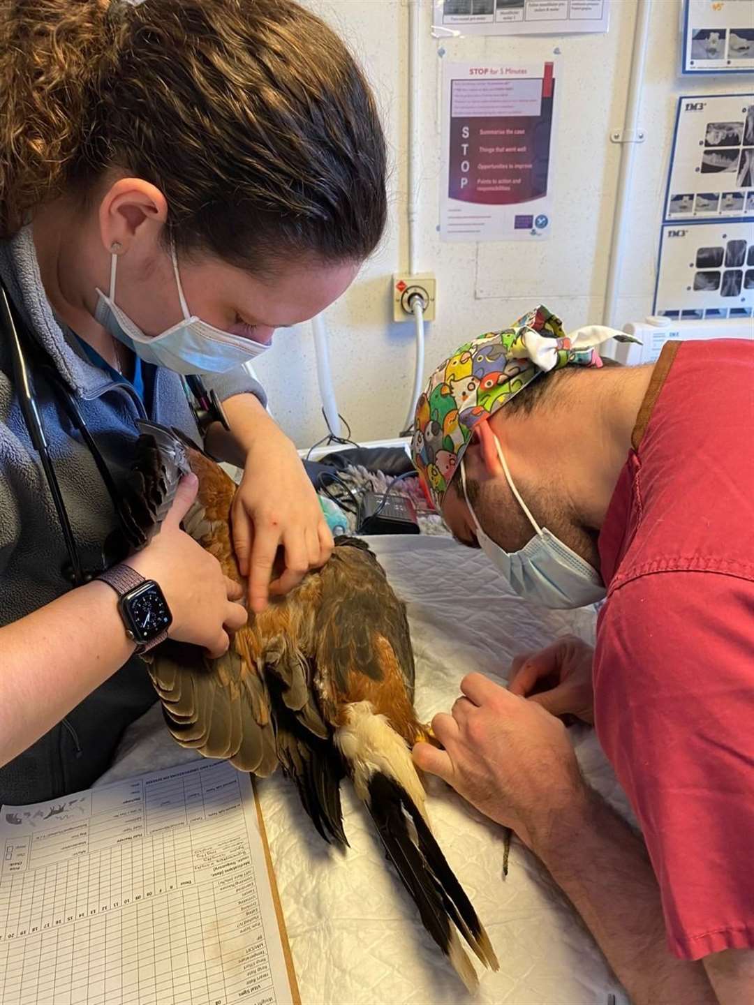 Vet nurse Debbie, left, who helped with the procedure, was in a boot after rupturing her own tendon weeks before. Picture: Sandhole Vets