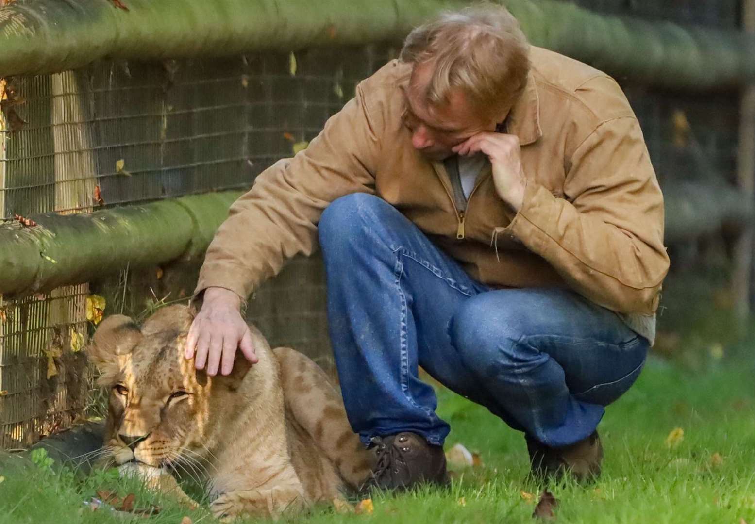 Damian Aspinall saying goodbye to the lions he helped hand-rear at Howletts, near Canterbury. Picture: Ryan King / Instagram rkphotography_kent