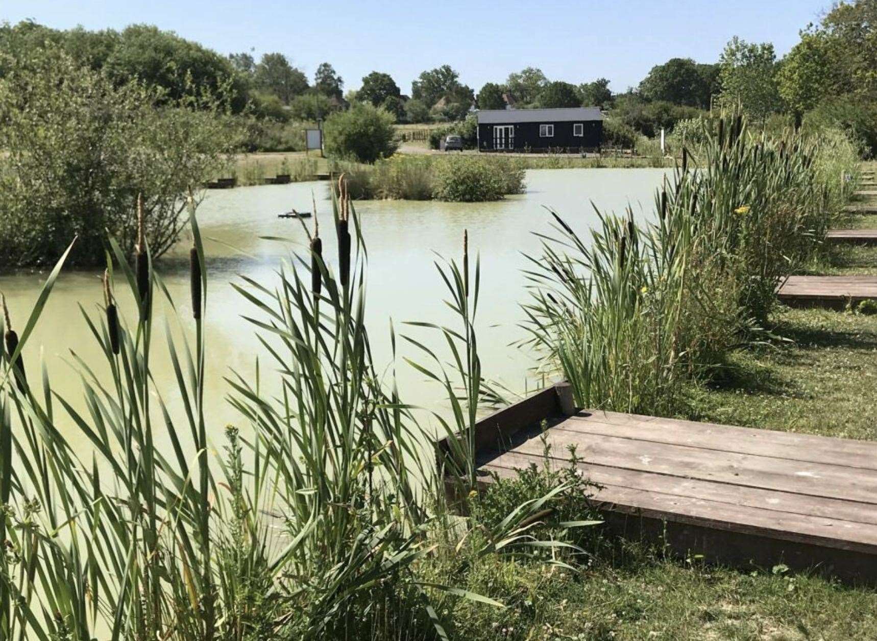 The match lake at Greenacres Farm Fishery. Picture: Savills