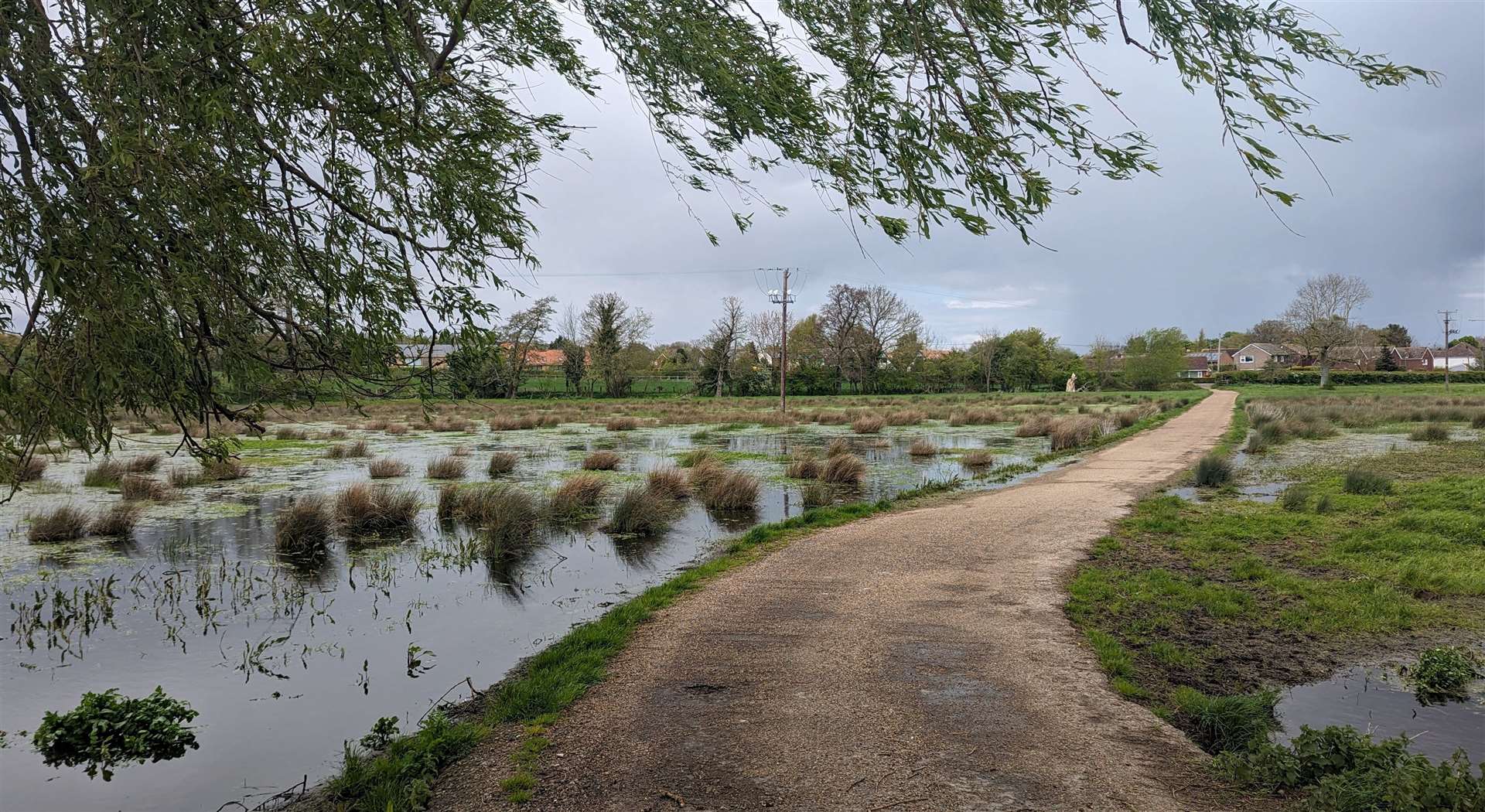 Evidence of the spring’s heavy rain in the countryside outside Littlebourne