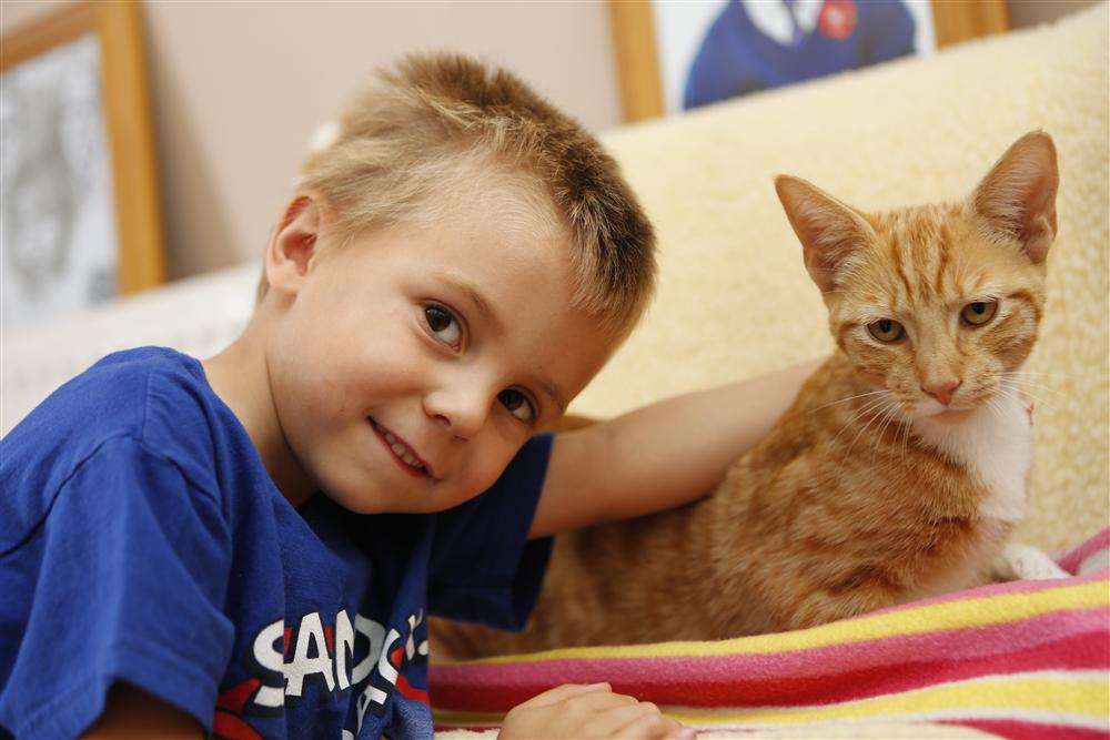 Four-year-old Morgan Dickinson with pet kitten King Jaffa Tutu