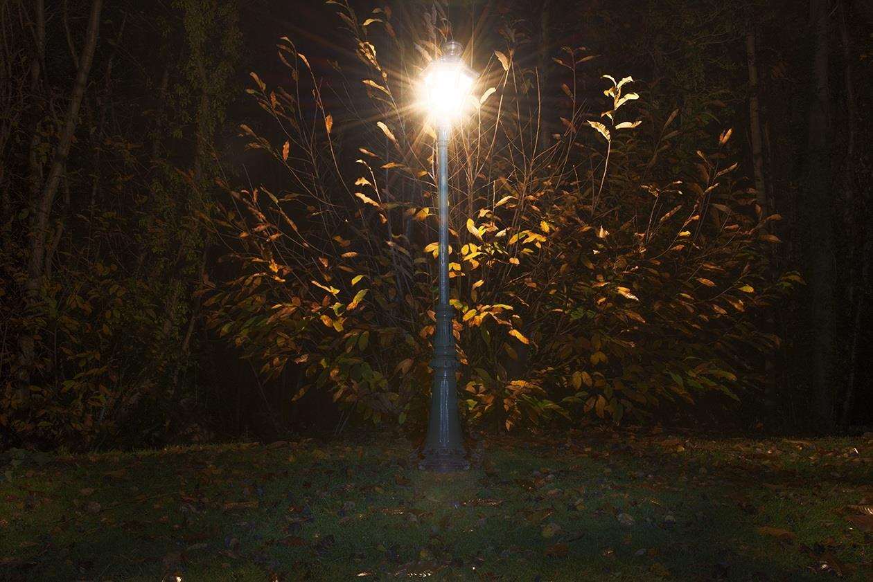 The Narnia lamp-post awaits adventurers in the Millennium Gardens