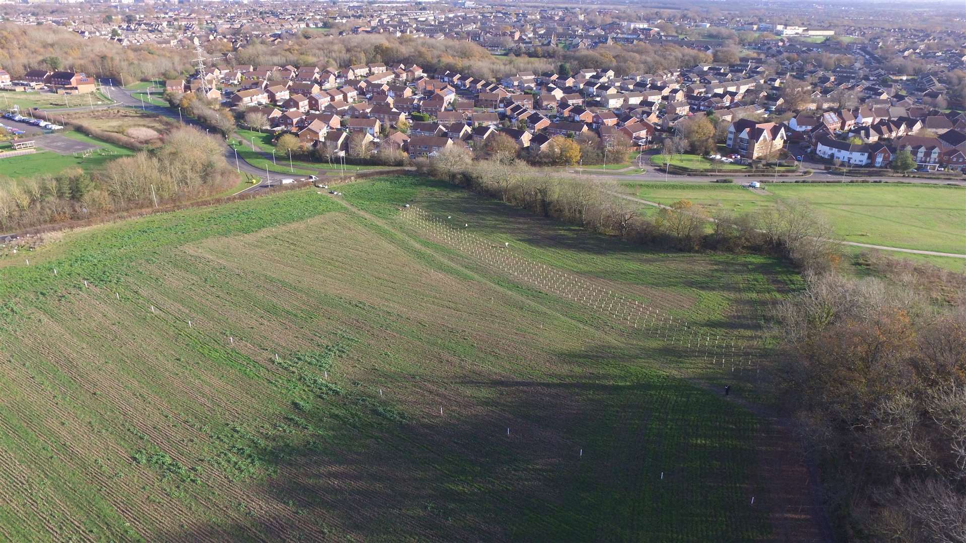 The 'Urban Tree Challenge' site pictured in December