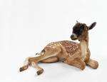 Thomas Grünfeld’s Misfit (goat/fawn) 2001. Courtesy of Hidde van Seggelen Gallery, London